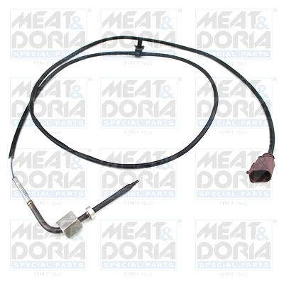 Sensor, exhaust gas temperature
